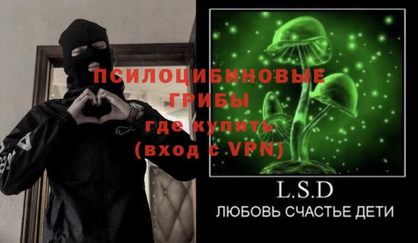 не бодяженный Инсар