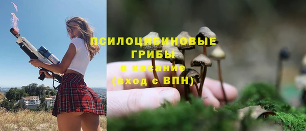 меф Инта