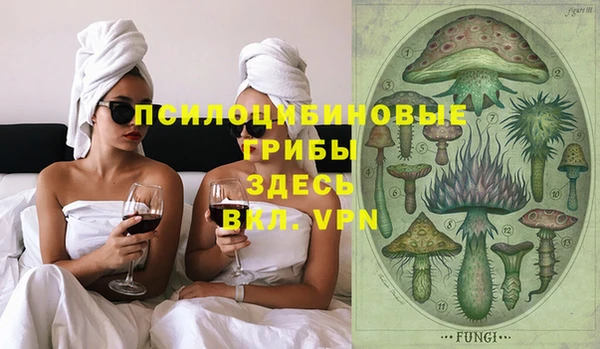 не бодяженный Инсар
