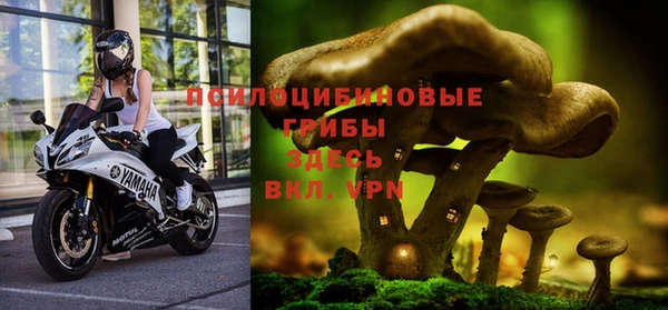 меф Инта