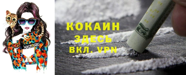 не бодяженный Инсар