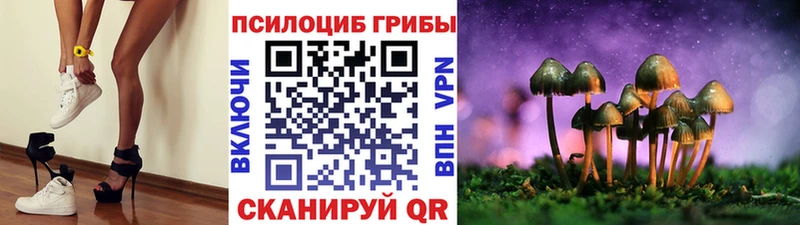 Псилоцибиновые грибы мухоморы  как найти закладки  Калязин 